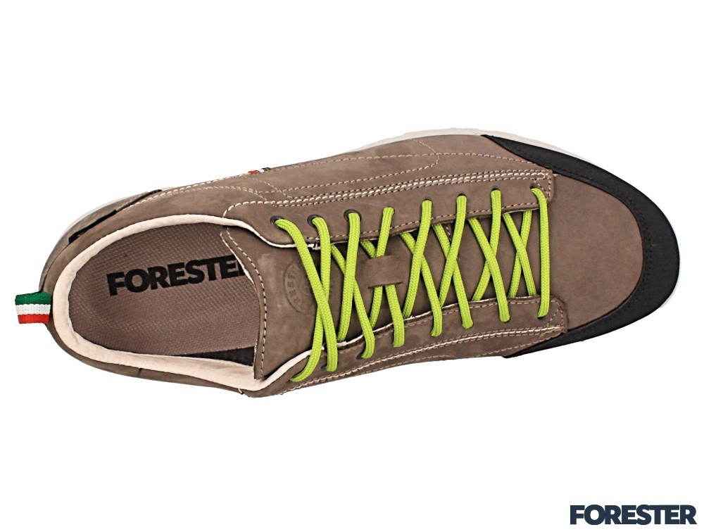 Forester 12001-12Fo