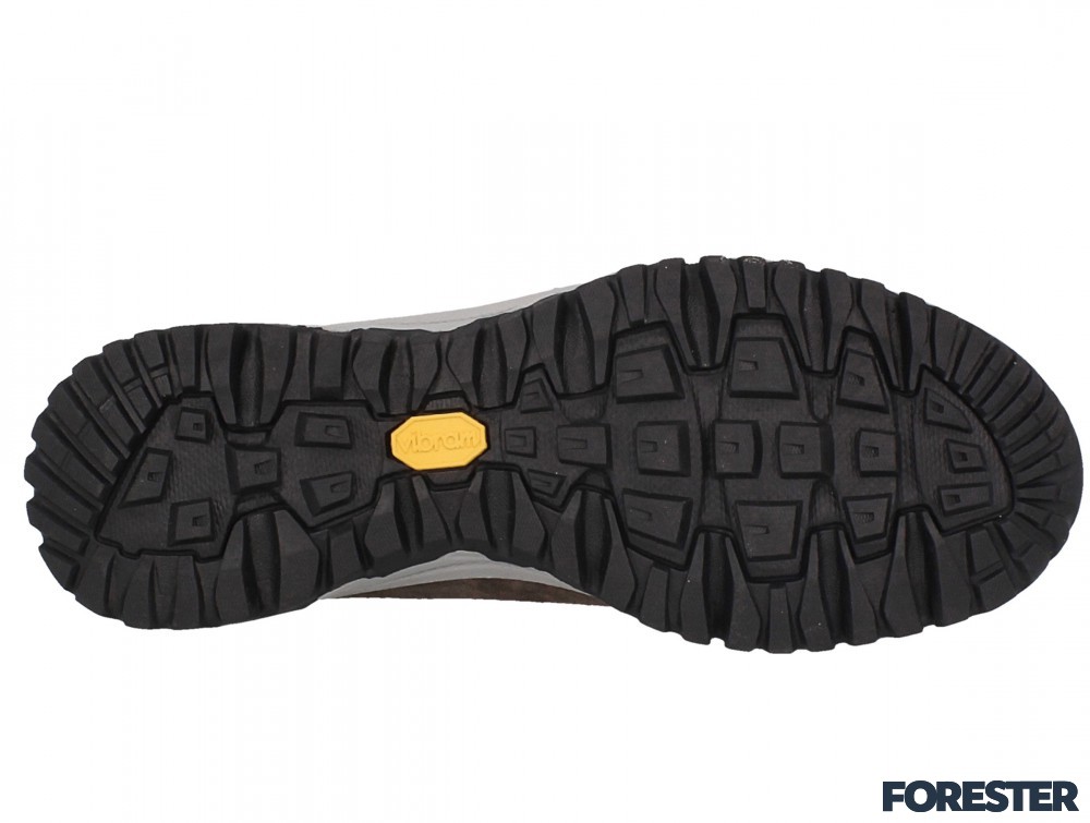 Forester 3400-V3